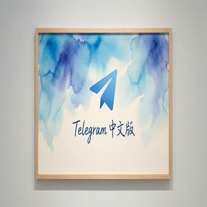 纸飞机中文版APK安装包下载及安全验证方法 - Telegram 官网