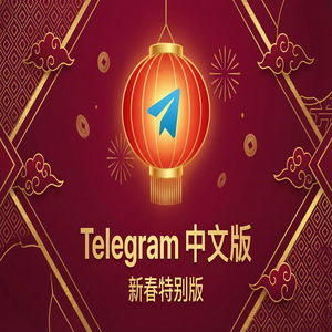 电报中文版媒体文件自动下载设置与存储管理（2024最新） - Telegram 官网